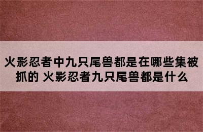 火影忍者中九只尾兽都是在哪些集被抓的 火影忍者九只尾兽都是什么